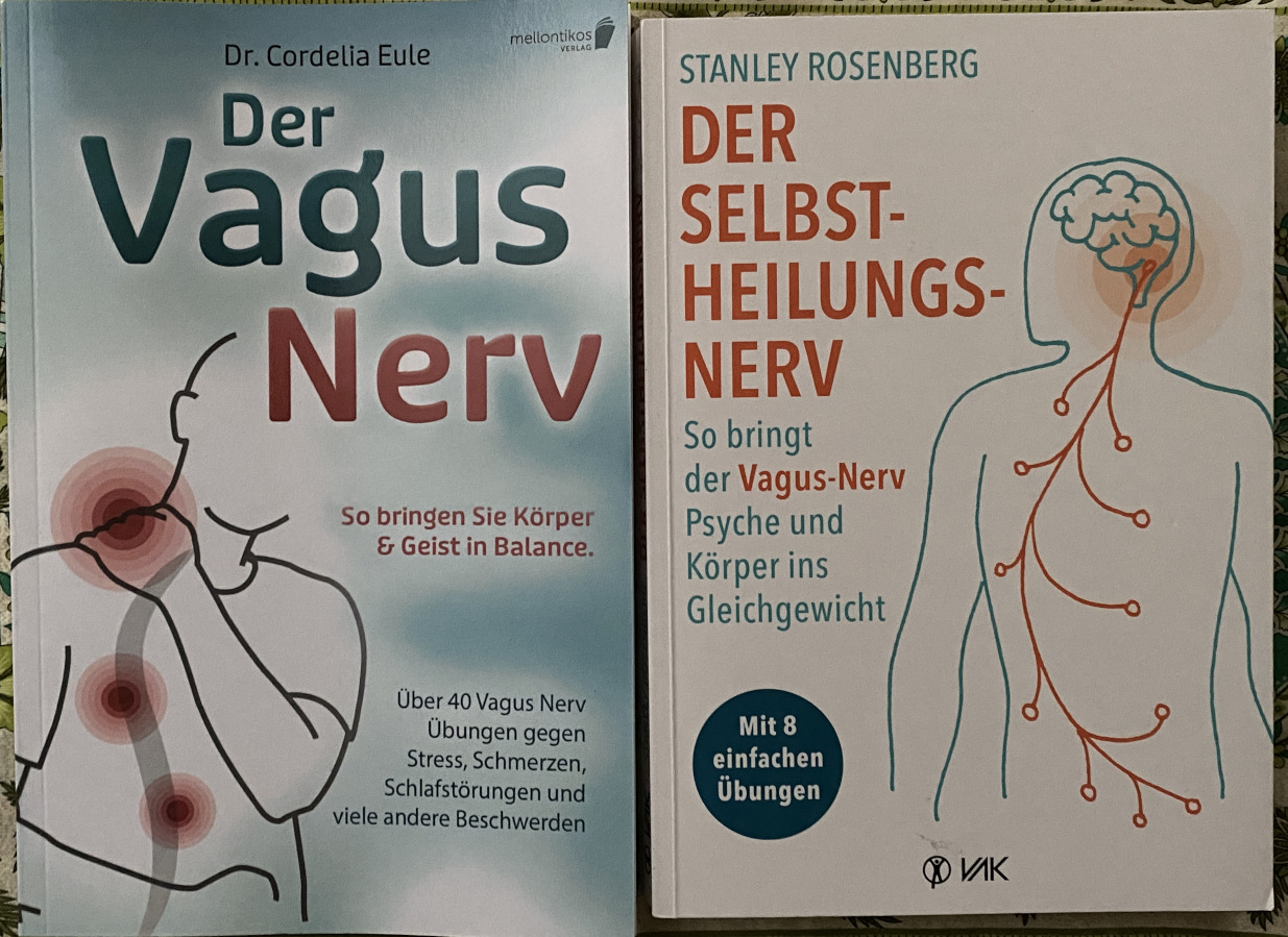 dr rosenberg dr eule vagus nerve