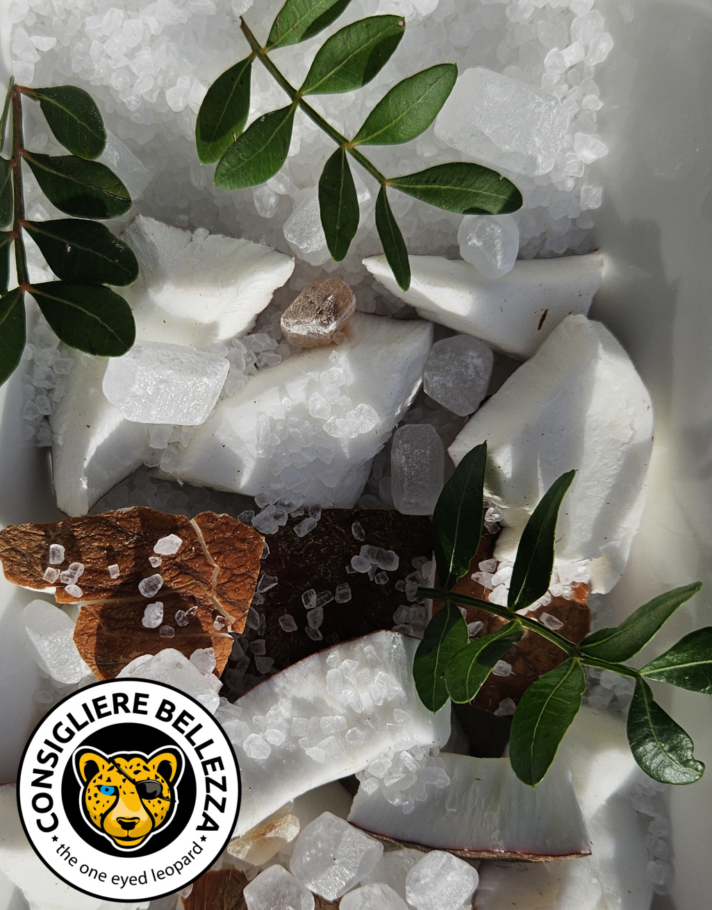 scent notes 51